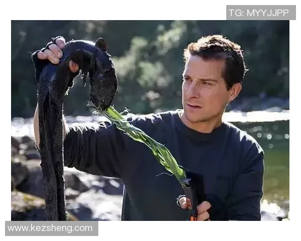 阿根廷独立与贝尔的传奇交汇：历史与足球的碰撞之旅